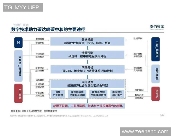 北京极限运动队意识表现的数据分析与研究探索