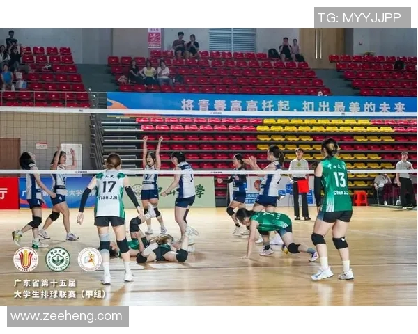 南京排球队在全国排球速度排行榜中荣获第六名展现强劲实力与潜力 南京排球队在全国排球速度排行榜中荣获第六名展现强劲实力与潜力
