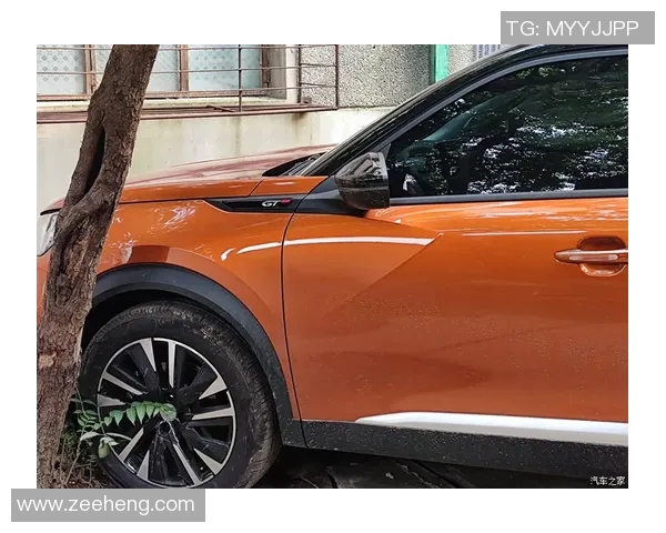 北京排球队实力飙升创历史新高引发全国关注与热议