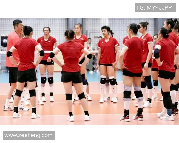 杭州排球队在全国排球配合排行榜中荣获第五名展现团队实力与默契