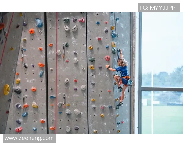 杭州攀岩队状态分析与训练成果探讨聚焦攀岩运动发展新趋势 杭州攀岩队状态分析与训练成果探讨聚焦攀岩运动发展新趋势