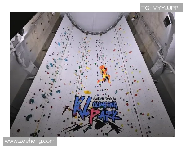 武汉攀岩队实力强劲荣登全国攀岩力量排行榜第八名