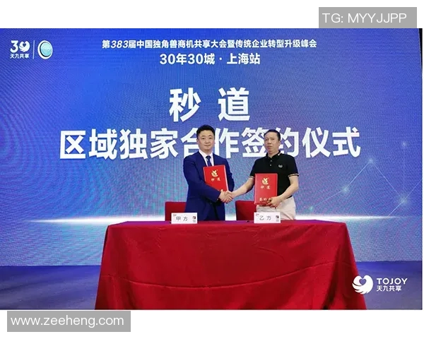 陈伟独家分享排球心得与技巧提升之道助你成为排球高手