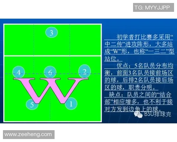 西安排球队的排球战术解析与转换体系的深度剖析