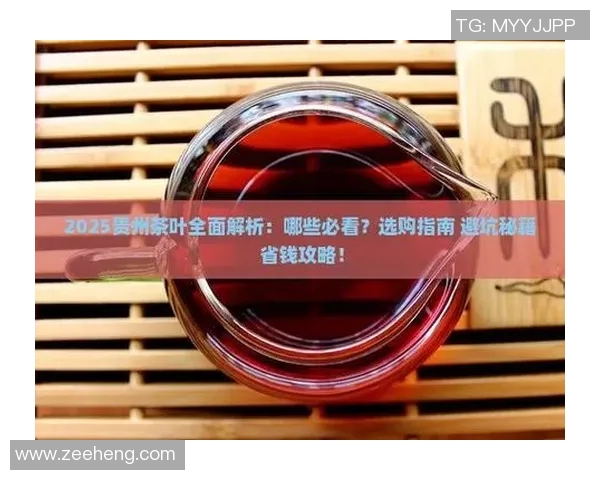 从零起步掌握足球节奏的全面指南与实战技巧解析