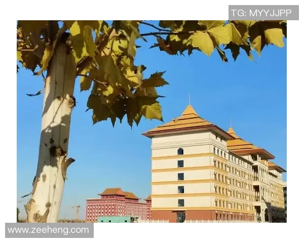 南京网球队崛起之路：从默默无闻到世锦赛舞台的成长历程