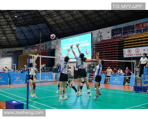 周磊的排球人生：从赛场到人生的深度对话与思考