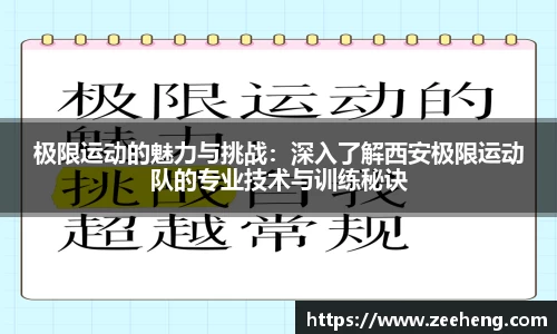 jn体育官方入口