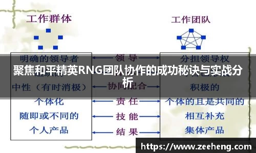 jn体育官方