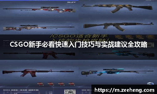 jn体育官方