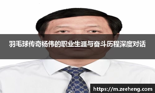 JN体育